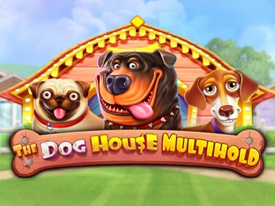 1win dog house