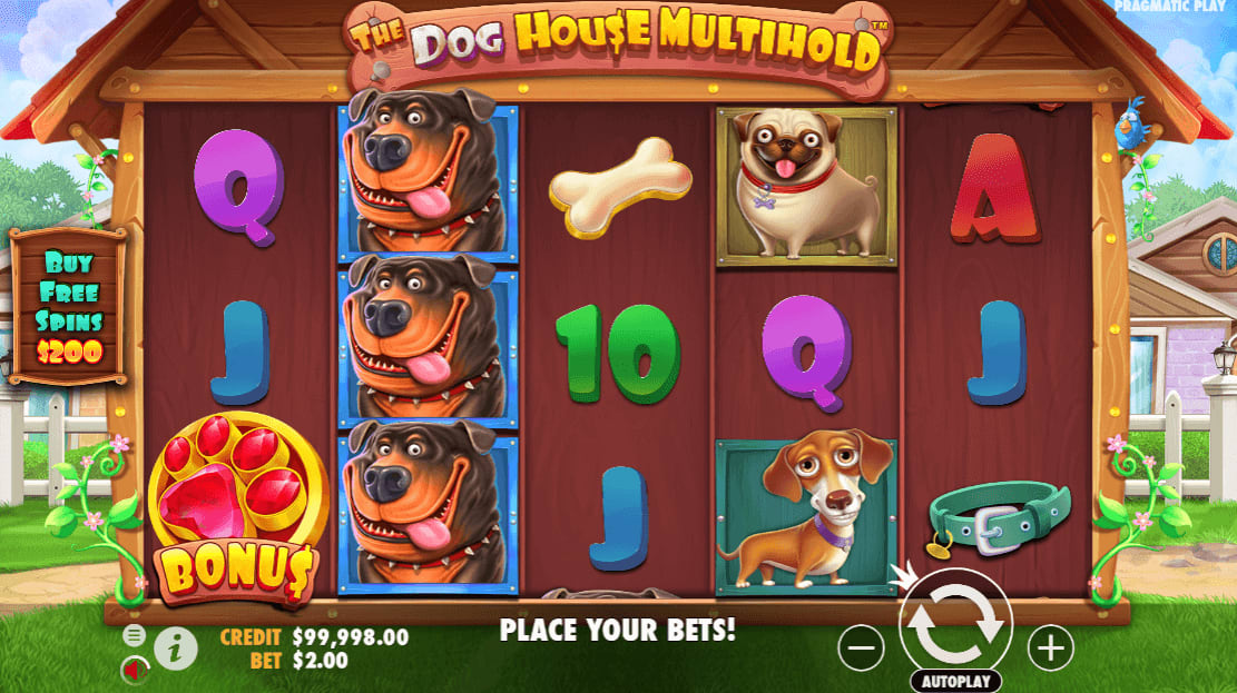 1win dog house