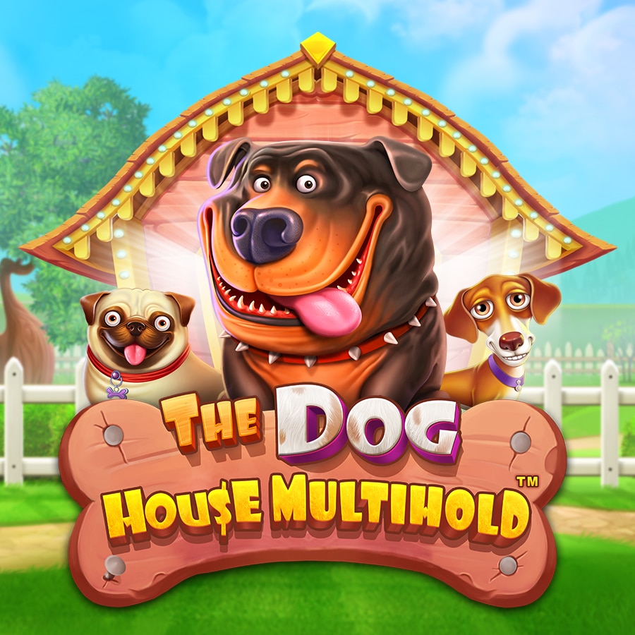 1win dog house