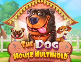 dog house 1win